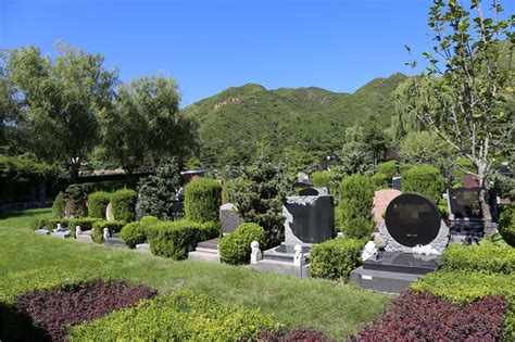 墓園植物|墓园植物景观设计的方法